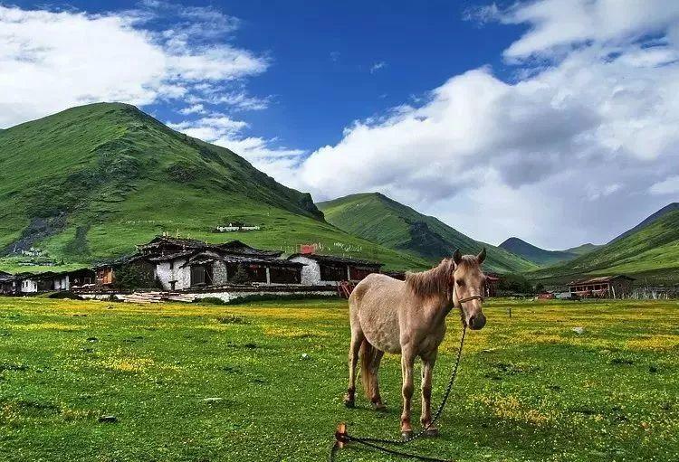 小红帽的冒险之旅