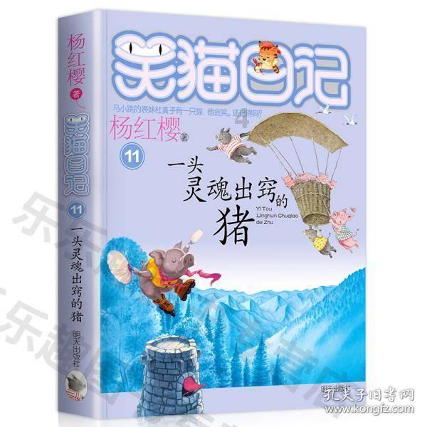 ADM-H立体眉弓打造多样风格
