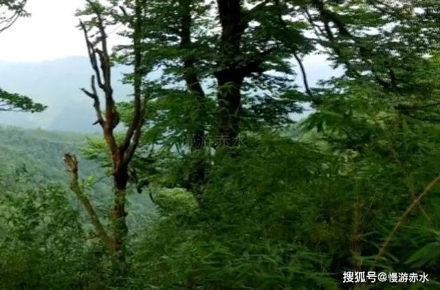 有2种类型的男朋友，大家会选择哪种？男女都可回答