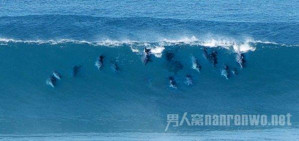 血战西部