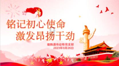 可爱南瓜救援精灵