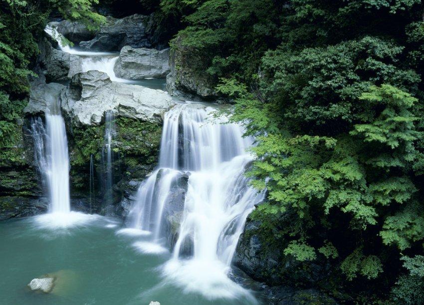 我区举行《你说我帮》公益平台授牌暨“雷锋司机”表彰活动