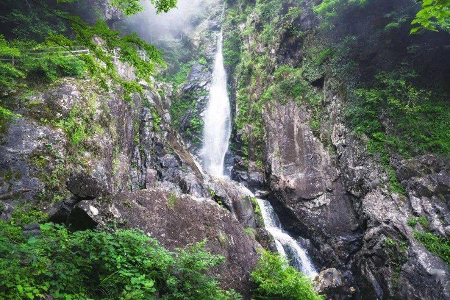 老字号“融合”菜“非遗”菜打擂台 争夺九龙坡区25道特色菜名额