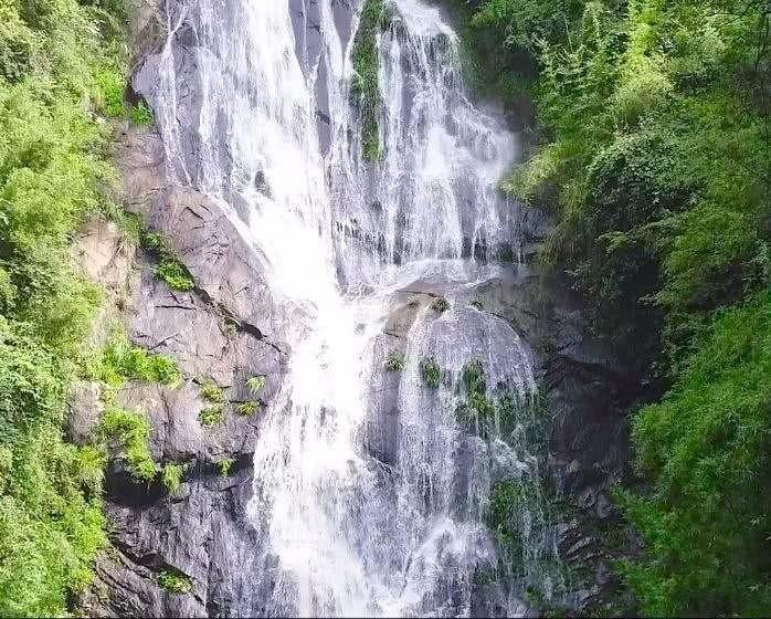 聪明问答-佛跳墙的由来有问必答平台