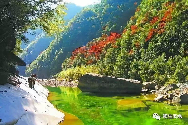 苹果获得新专利：手机屏下摄像头和汽车智能大灯
