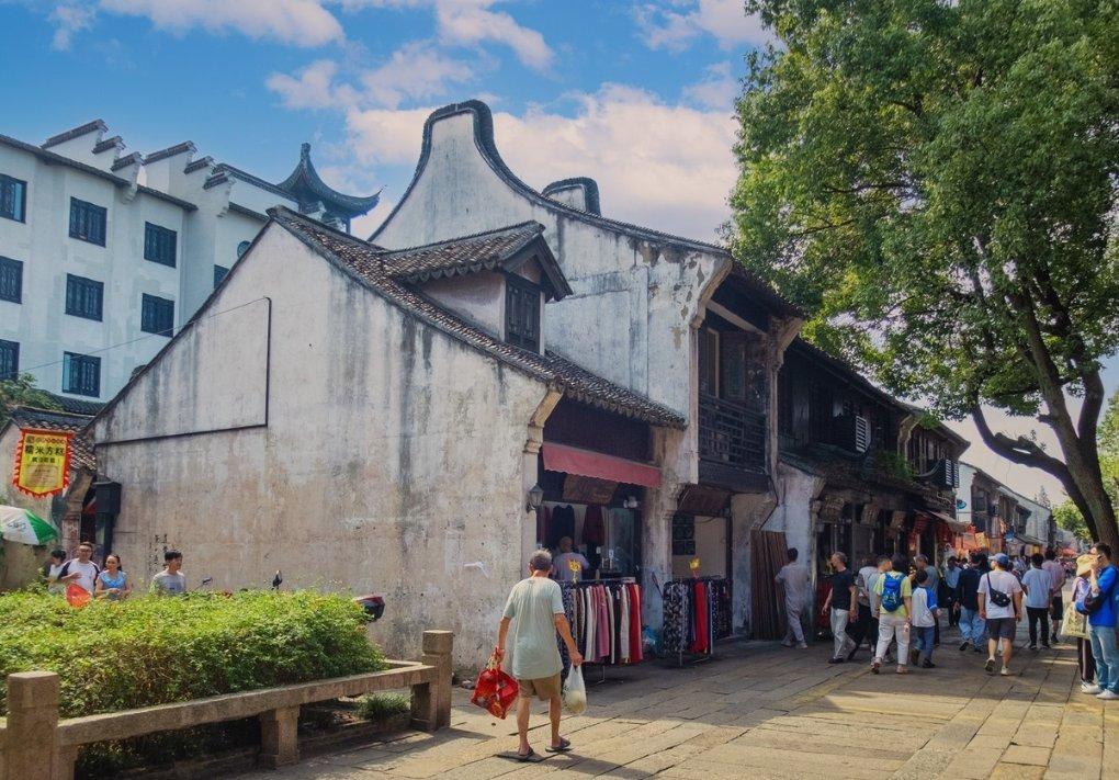 他改良碱地西红柿种植方法,实现一年两茬,带领当地农户发家致富