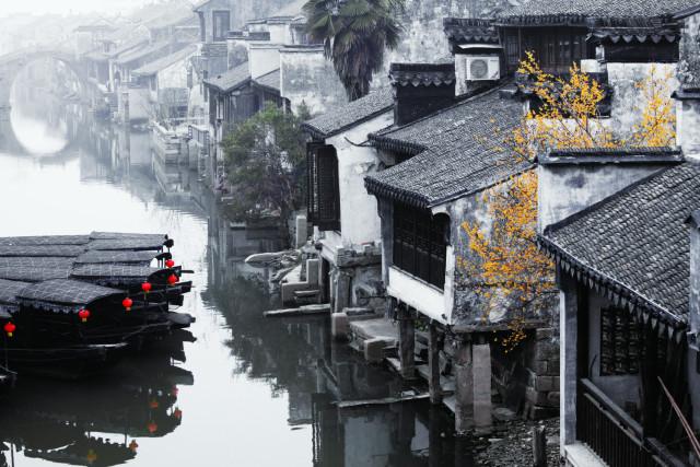 植物大战僵尸21